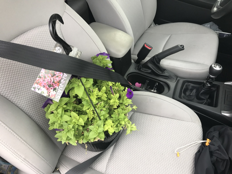 Gotta buckle up the fragile cargo.